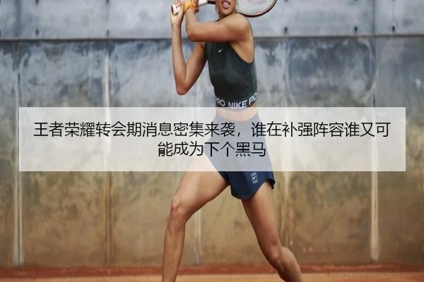 王者荣耀转会期消息密集来袭，谁在补强阵容谁又可能成为下个黑马